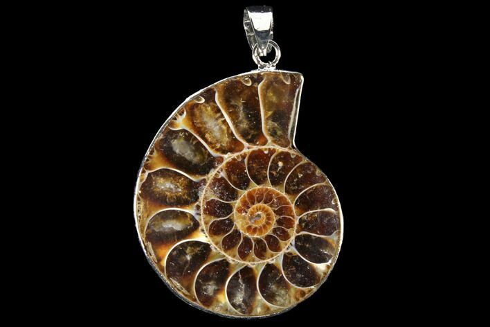 Fossil Ammonite Pendant - Million Years Old #112437